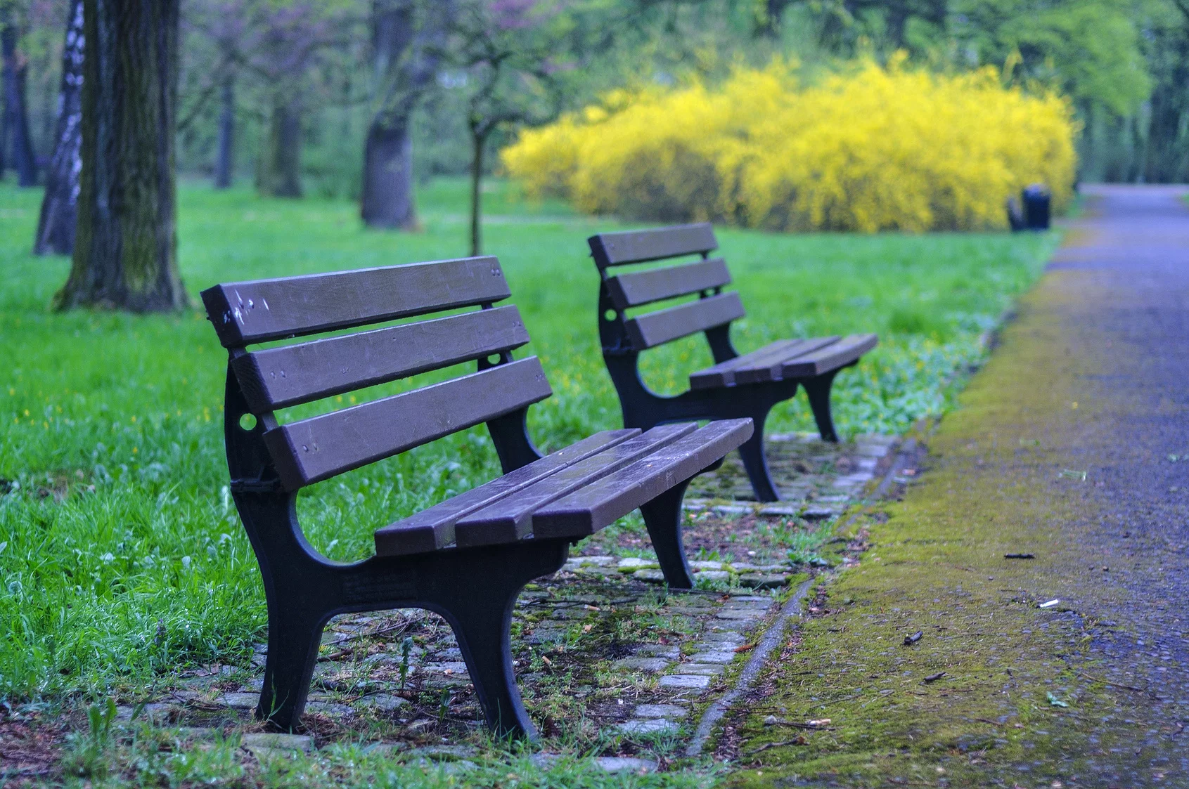 Park, zdjęcie ilustracyjne