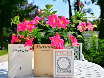 „Narodowe Czytanie”. 11-sta edycja dotyczy Mickiewicza