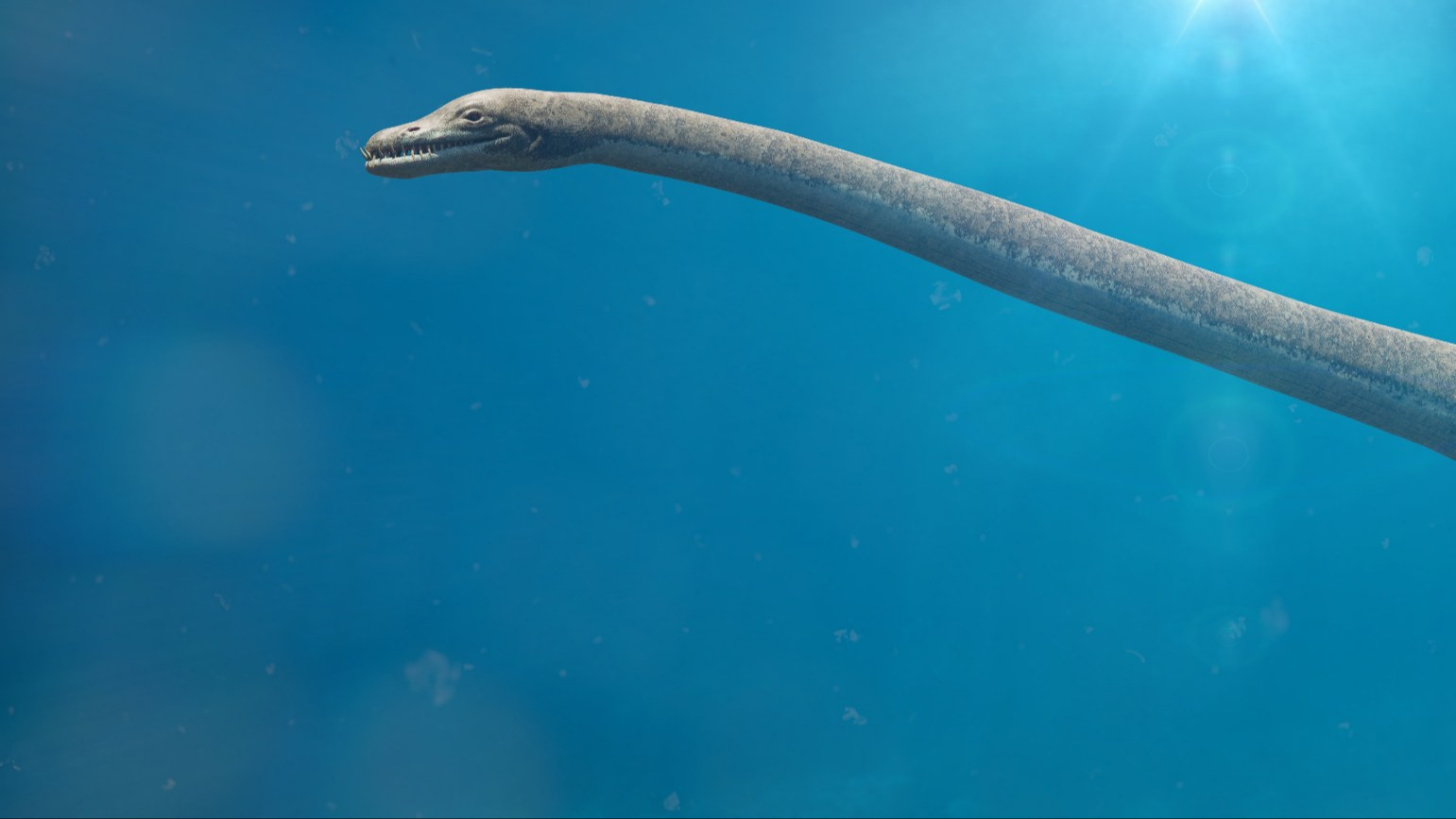 Naukowcy odkryli nowy gatunek plezjozaura. „Jurajski potwór morski”