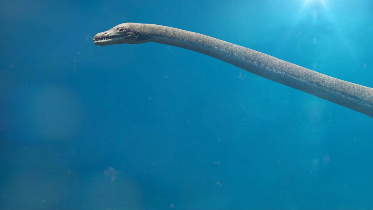 Wyobrażenie tego, jak wyglądać mógł inny plezjozaur – Elasmozaur (Elasminsaurus)