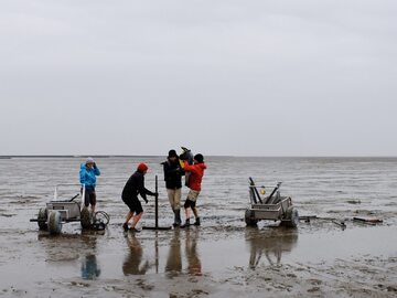 Naukowcy szukają pozostałości osadnictwa, w tym dawnego Rungholt  na Morzu Wattowym