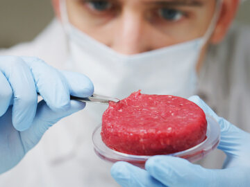 Naukowiec bada mięso wyprodukowane w laboratorium