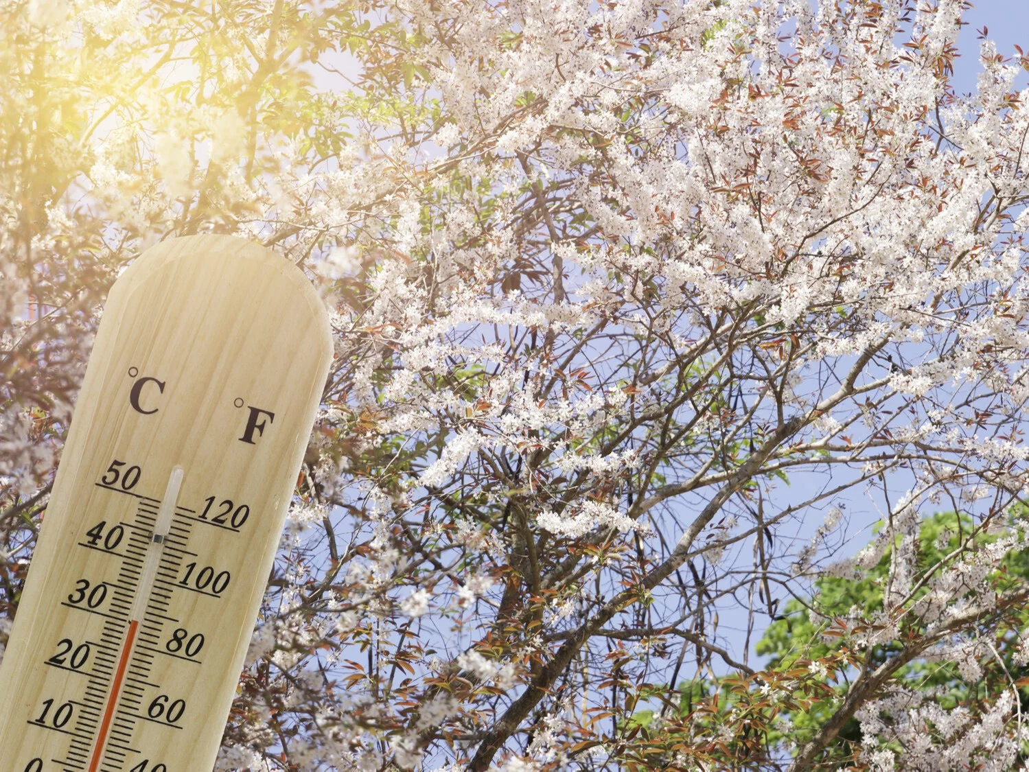 Słońce, temperatura, zdjęcie ilustracyjne