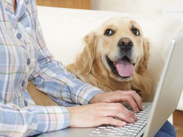Nawet wirtualny kontakt z psem redukuje stres.