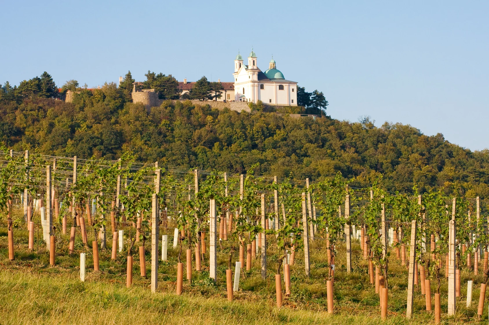 Wzgórze Kahlenberg