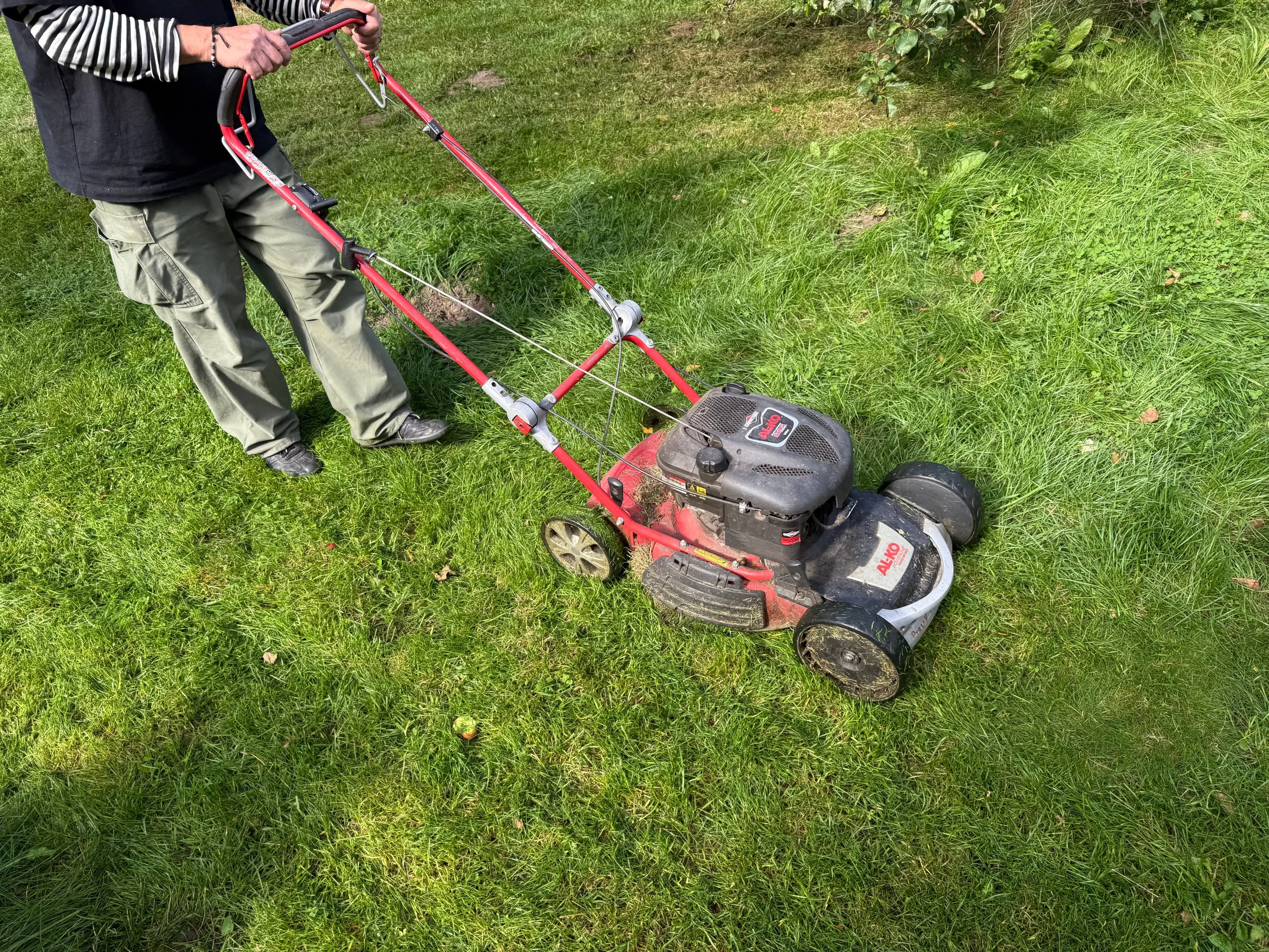 Odpowiednie przygotowanie kosiarki przed zimą zaprocentuje wiosną