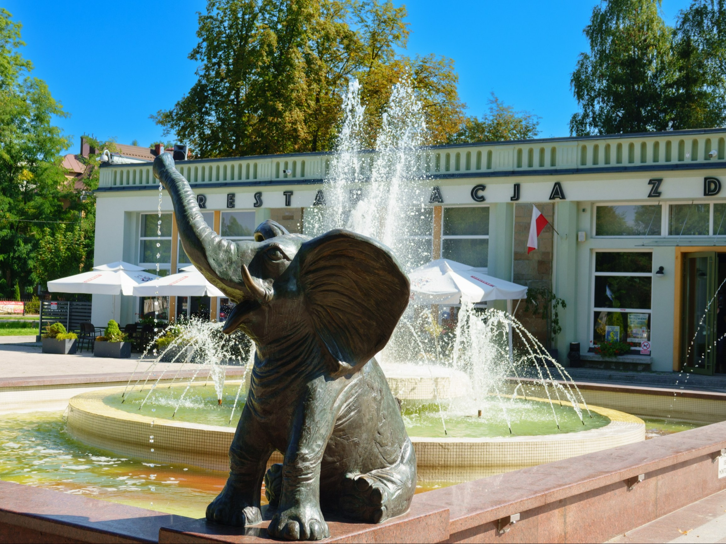 Nie tylko Ciechocinek. Wracają pociągi do kolejnego uzdrowiska