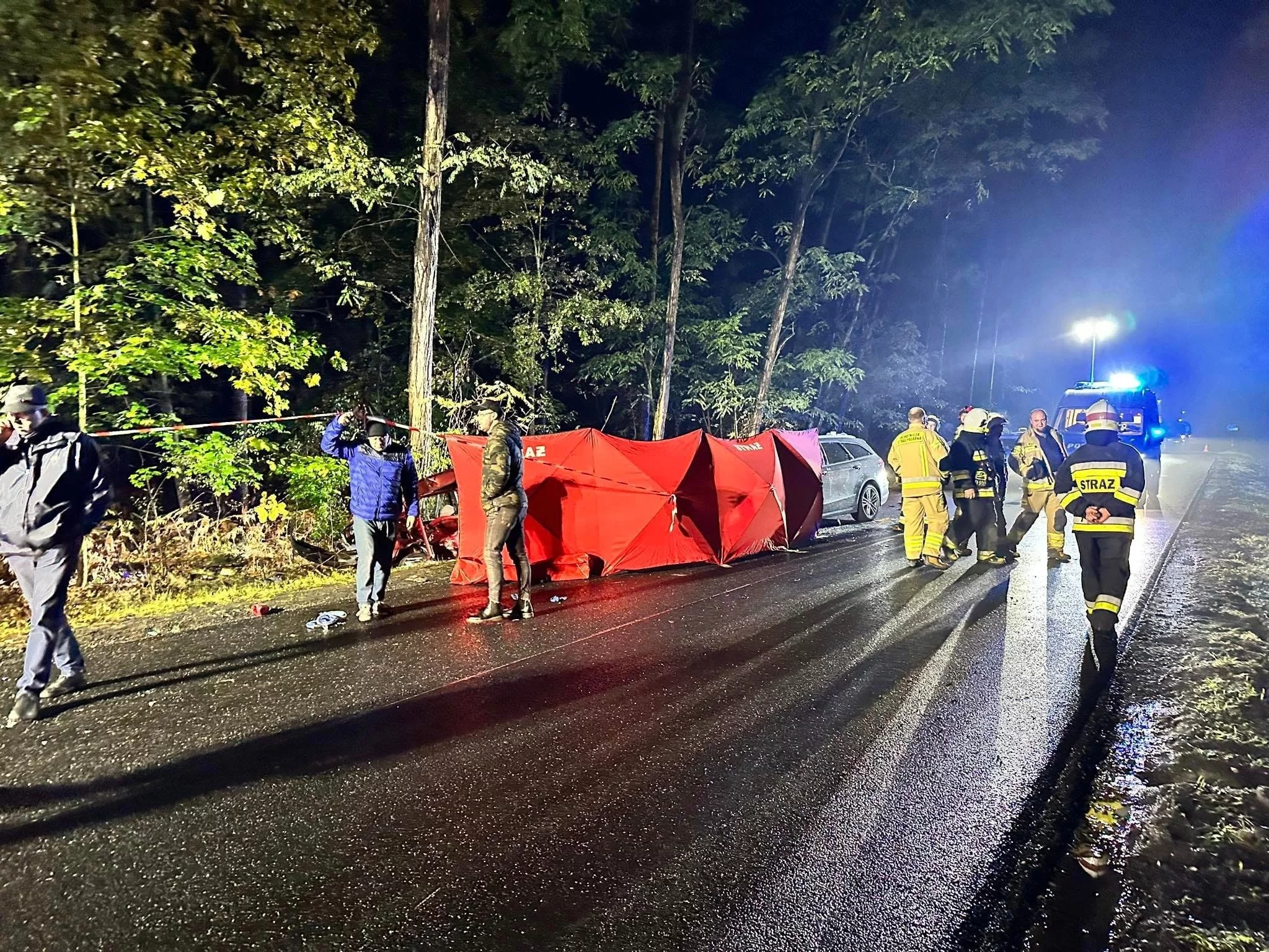 Ratownicy i straż pożarna na miejscu wypadku