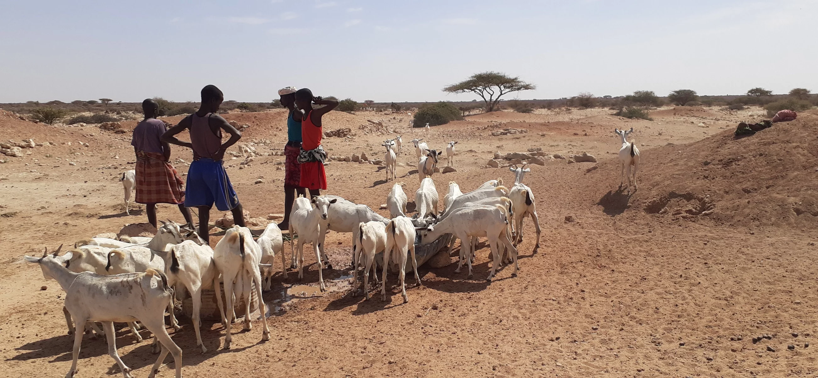 Somalia, zdjęcie ilustracyjne