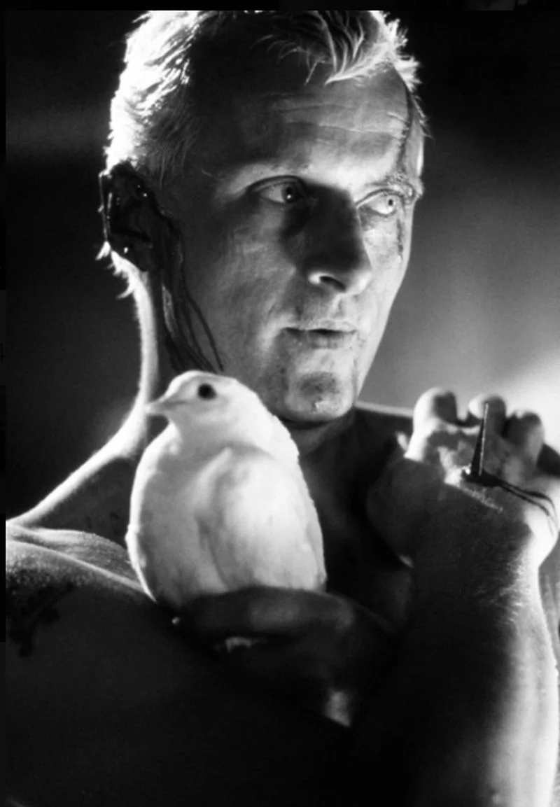 Rutger Hauer w filmie "Łowca androidów"