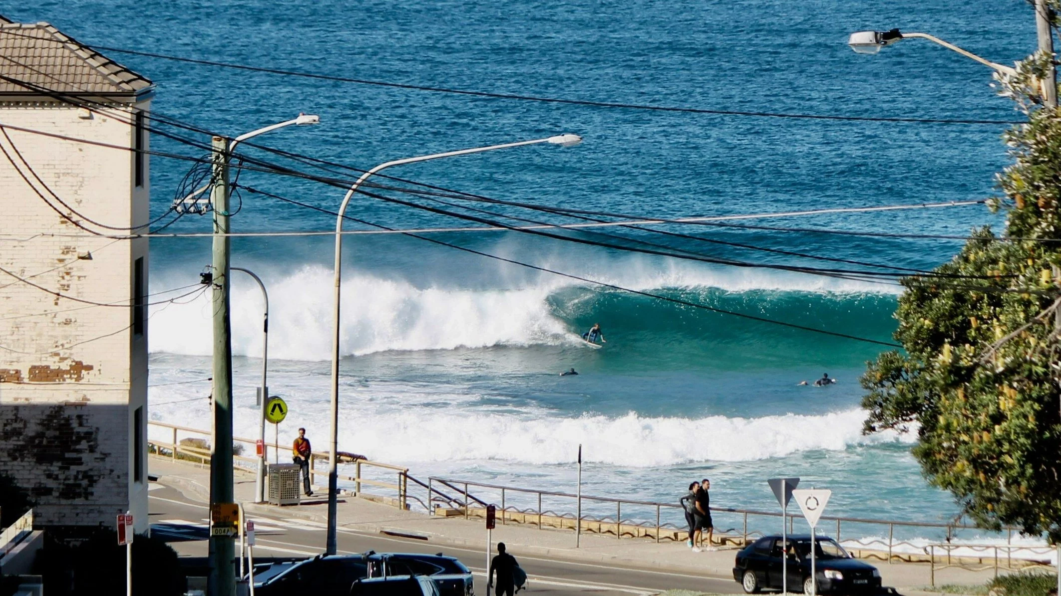 Plaża Maroubra w Australii