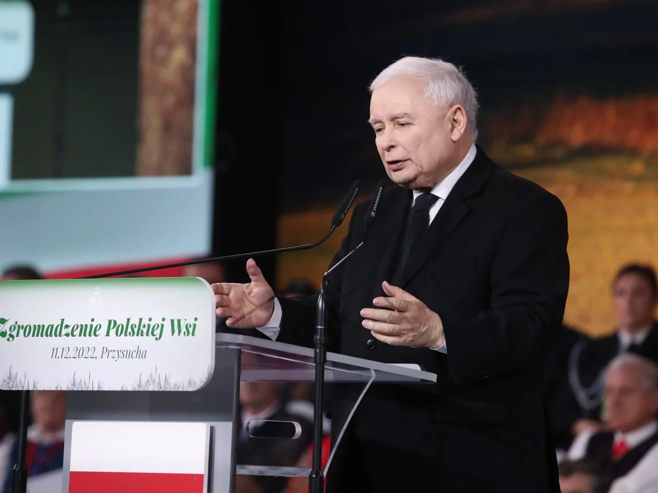 Prezes PiS Jarosław Kaczyński