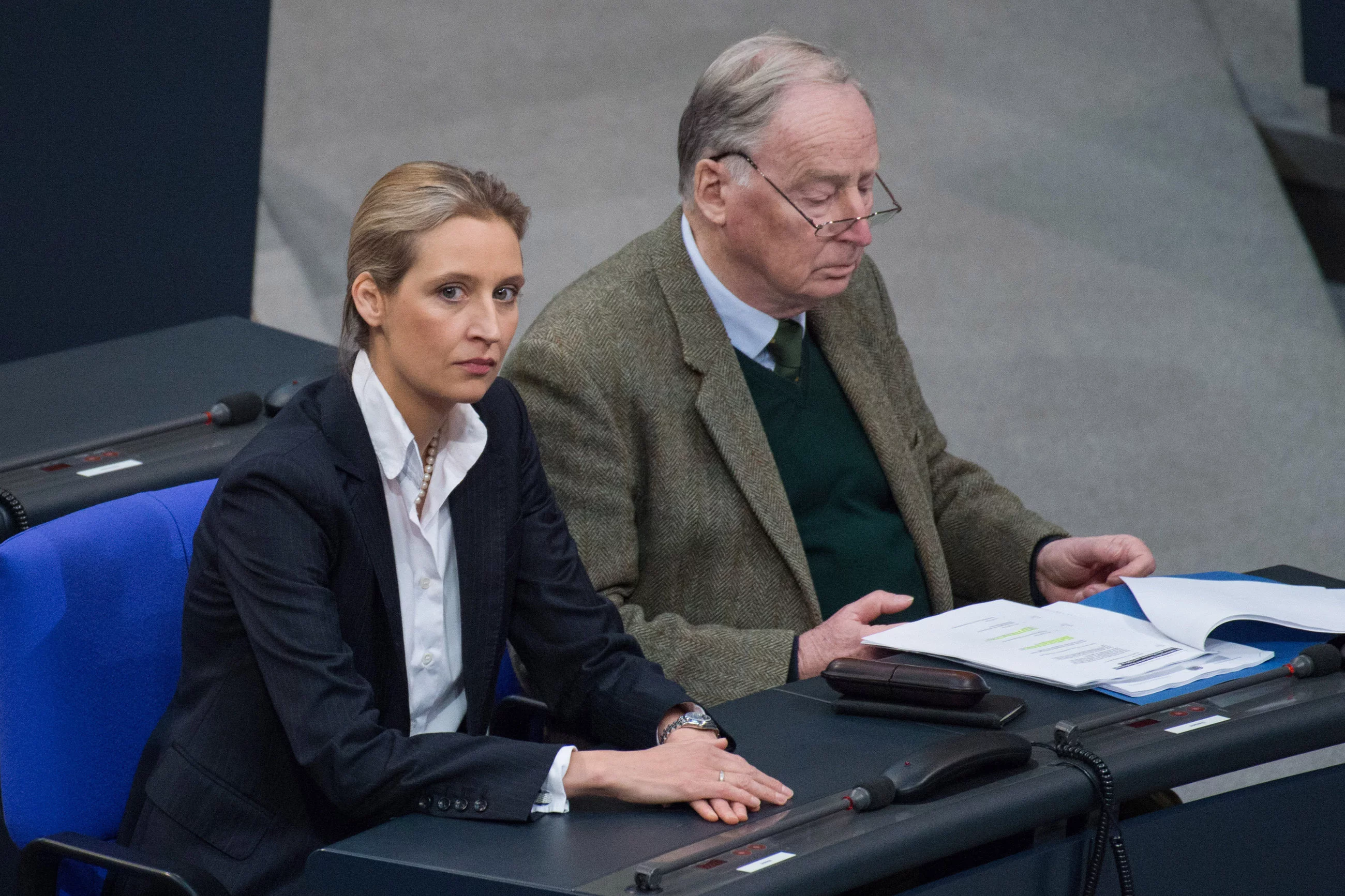 Alice Weidel i Alexander Gauland