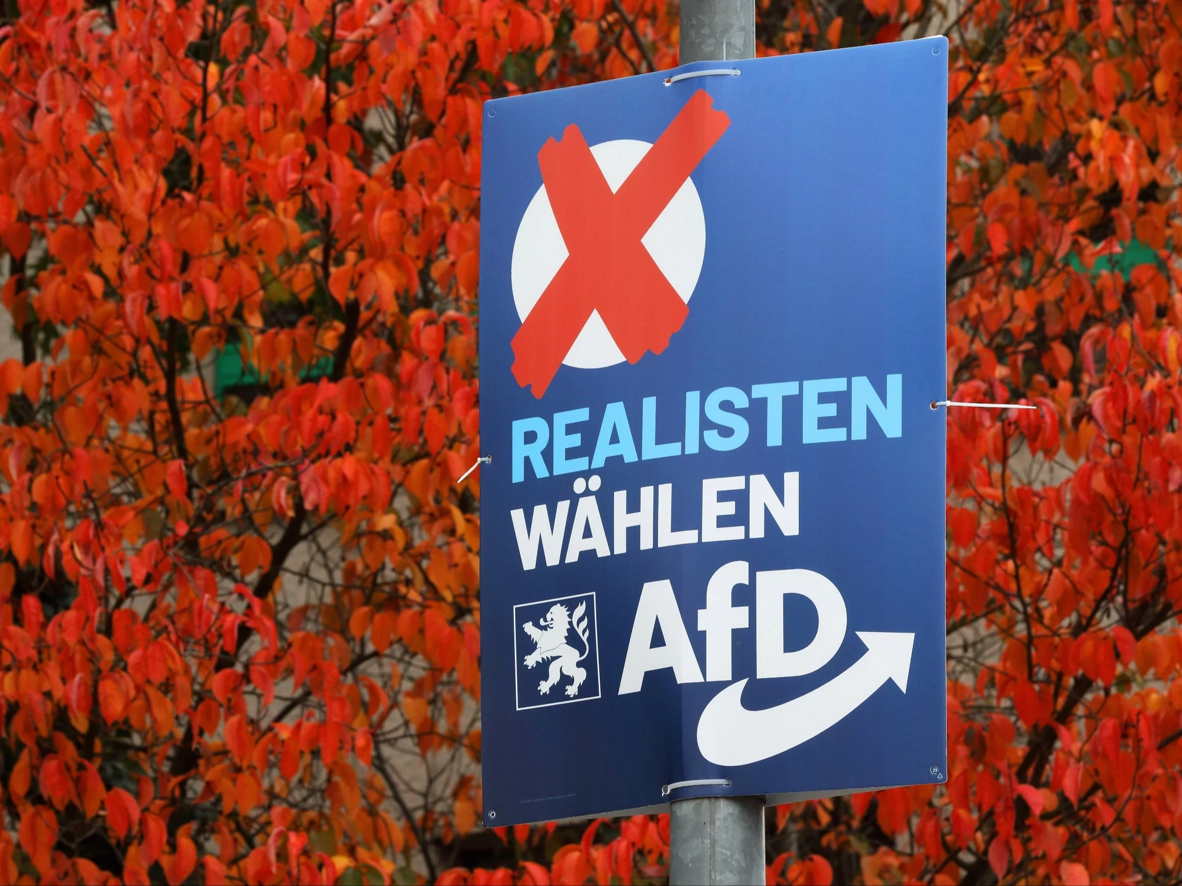 Baner reklamujący skrajnie prawicową niemiecką partię AfD