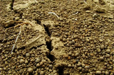 Niesamowite odkrycie toruńskich archeologów. Ma 6 tys. lat! (fot. sxc.hu)