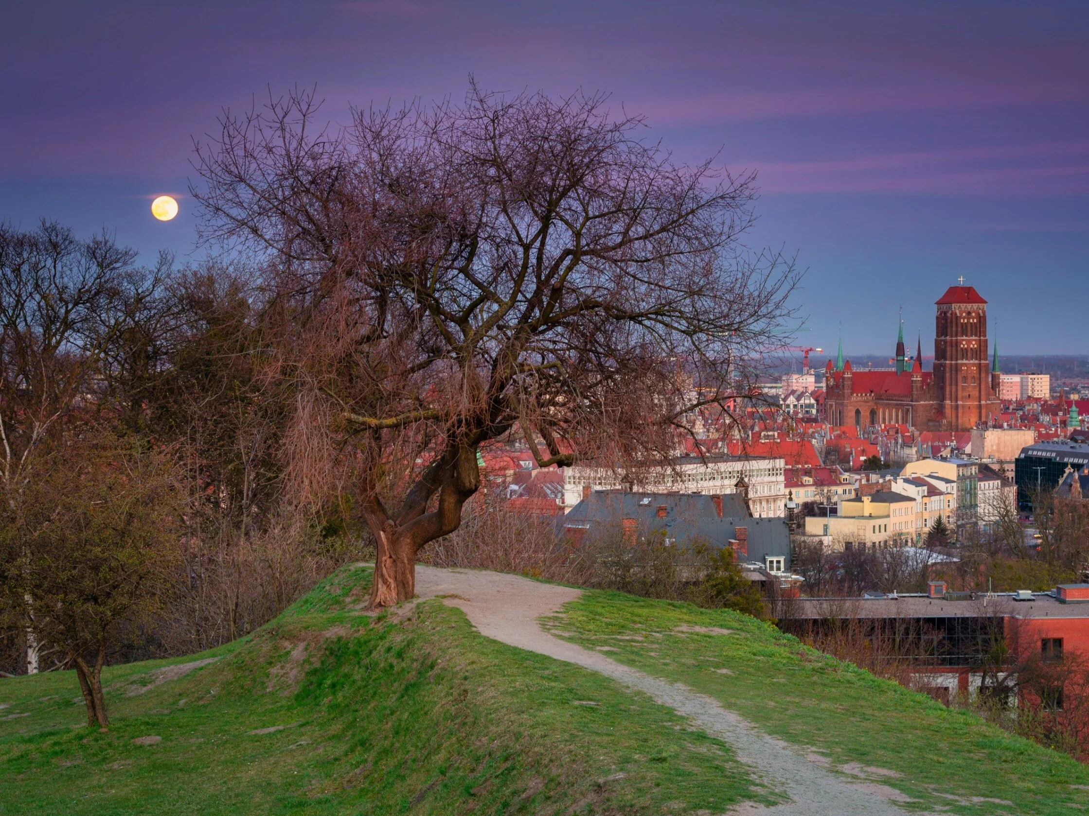 Księżyc nad miastem, zdjęcie ilustracyjne