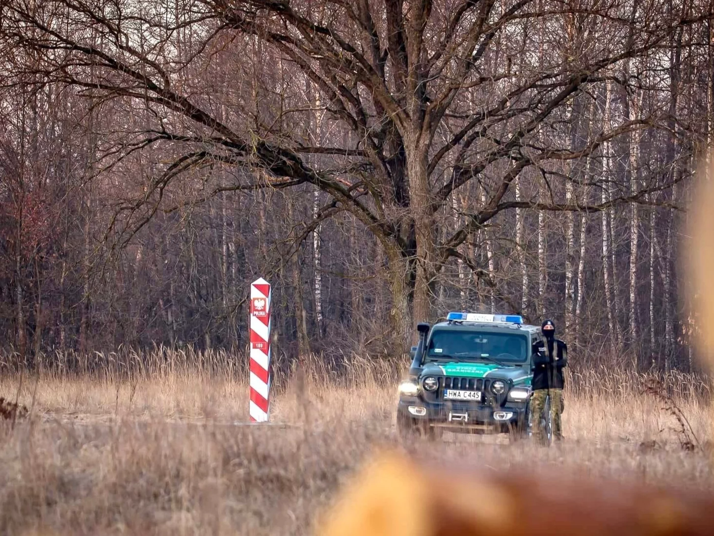 Patrol przy granicy polsko-białoruskiej