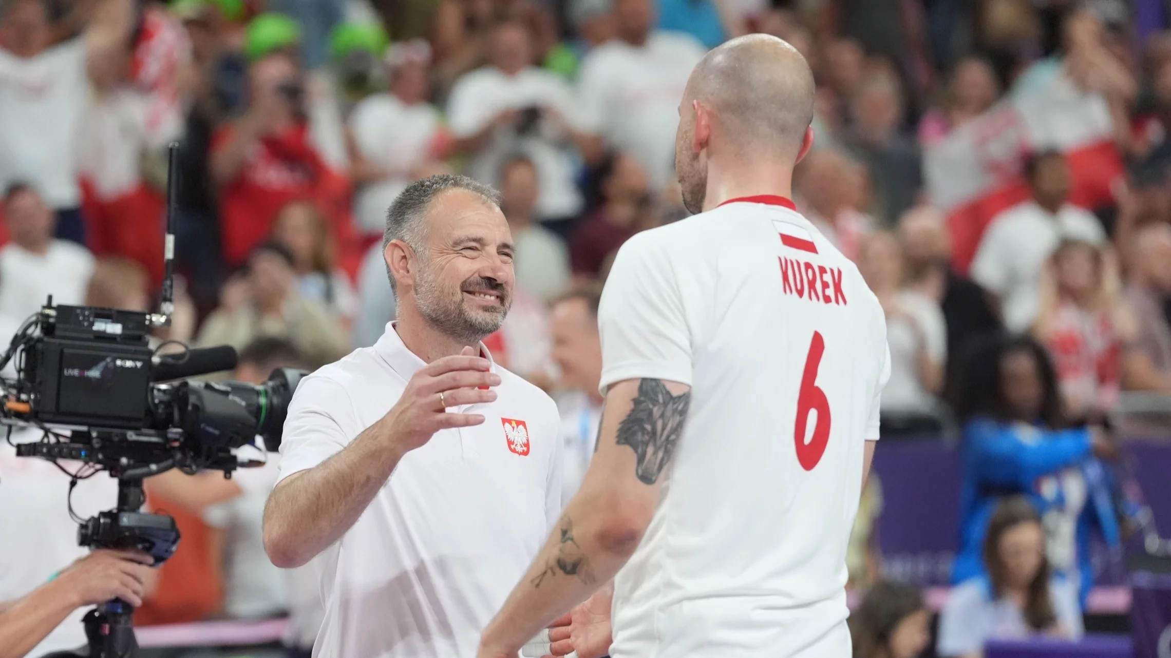 Nikola Grbić i Bartosz Kurek oczami ekspertki. To pokazuje siłę reprezentacji