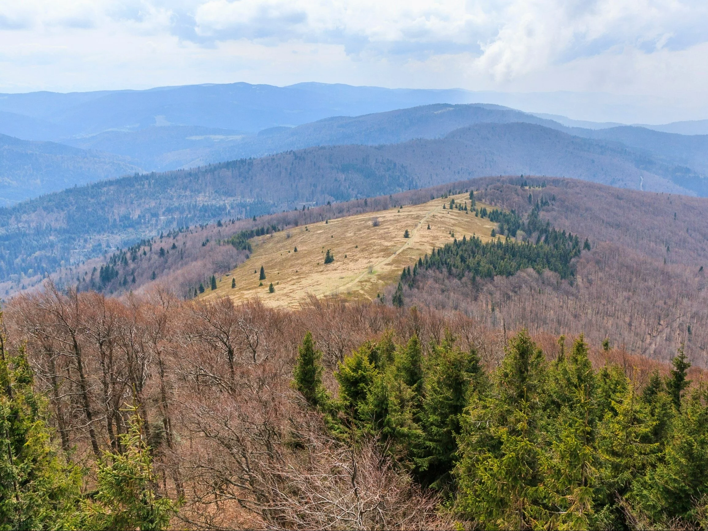 Panorama Beskidu Wyspowego