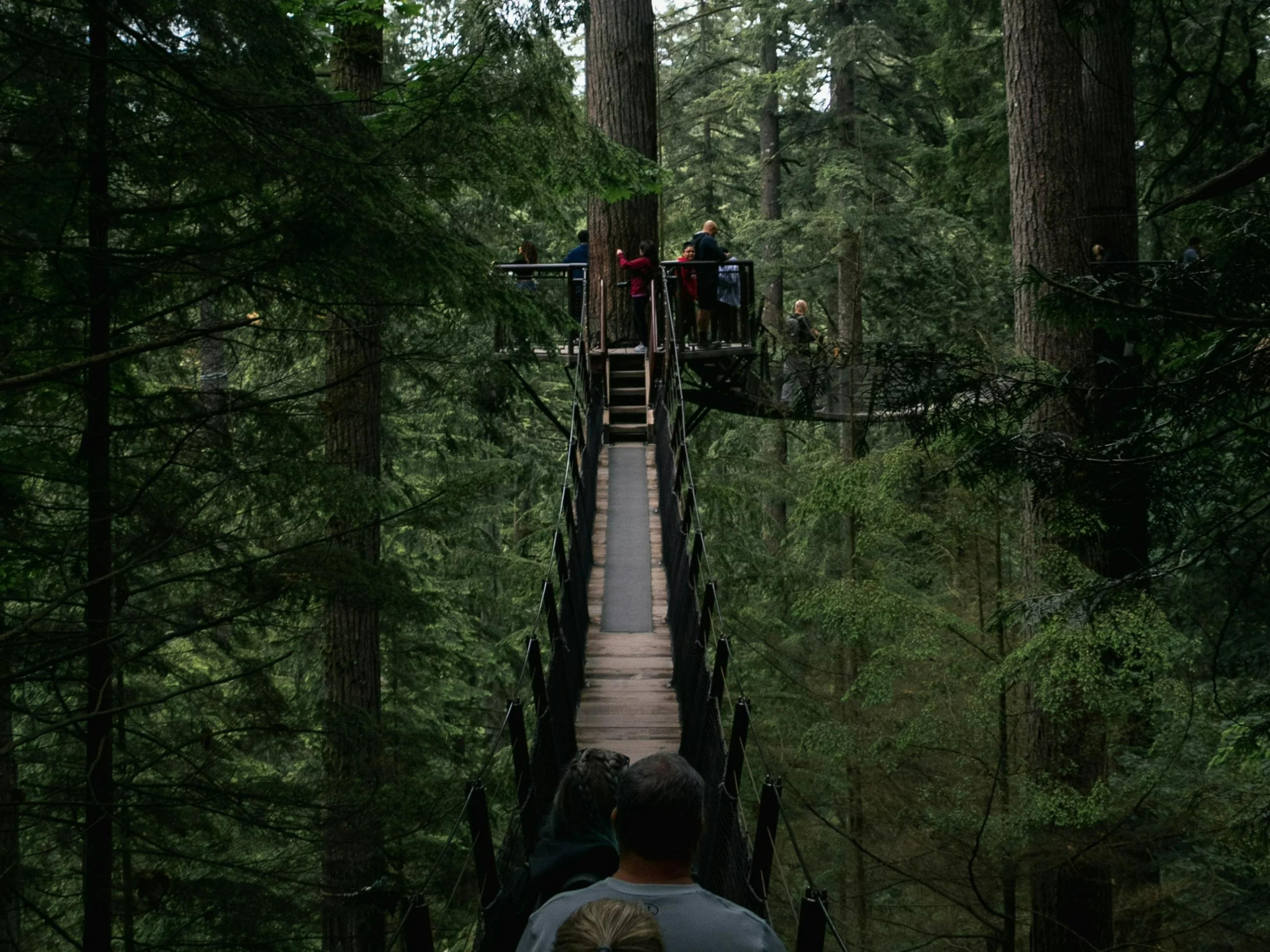 Park linowy/zdjęcie poglądowe