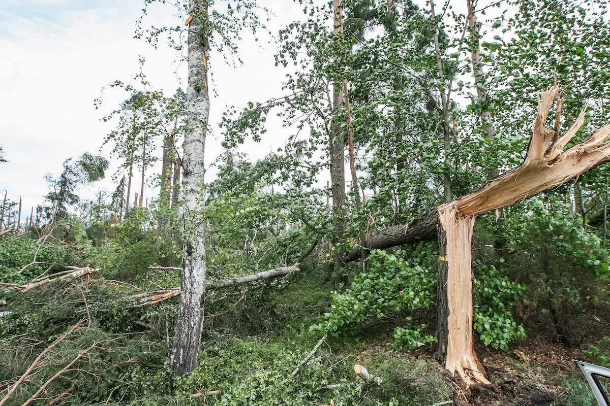 Skutki nawałnicy