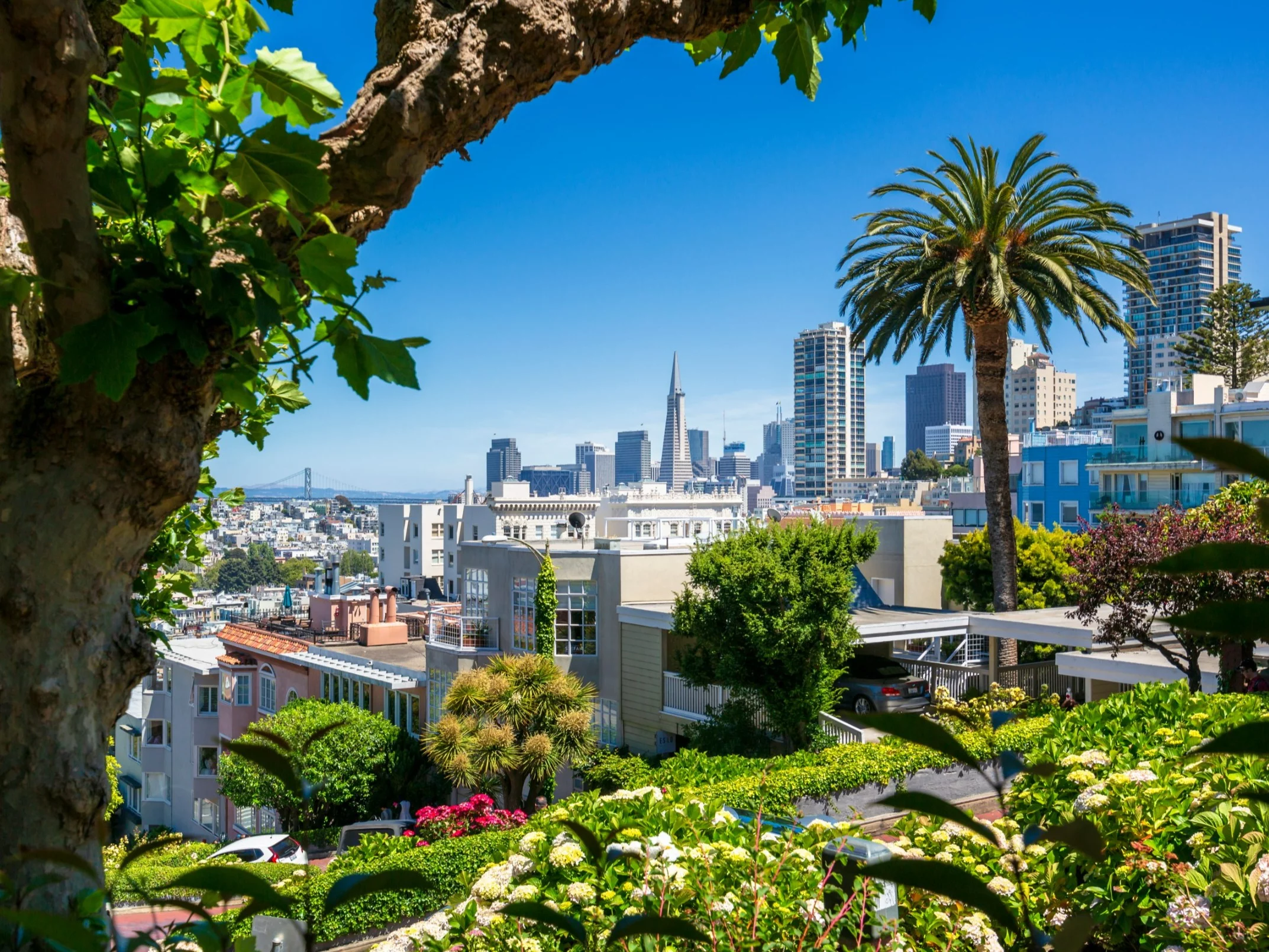 LOT z nowym hitem dla Polaków. Bezpośrednia podróż do San Francisco