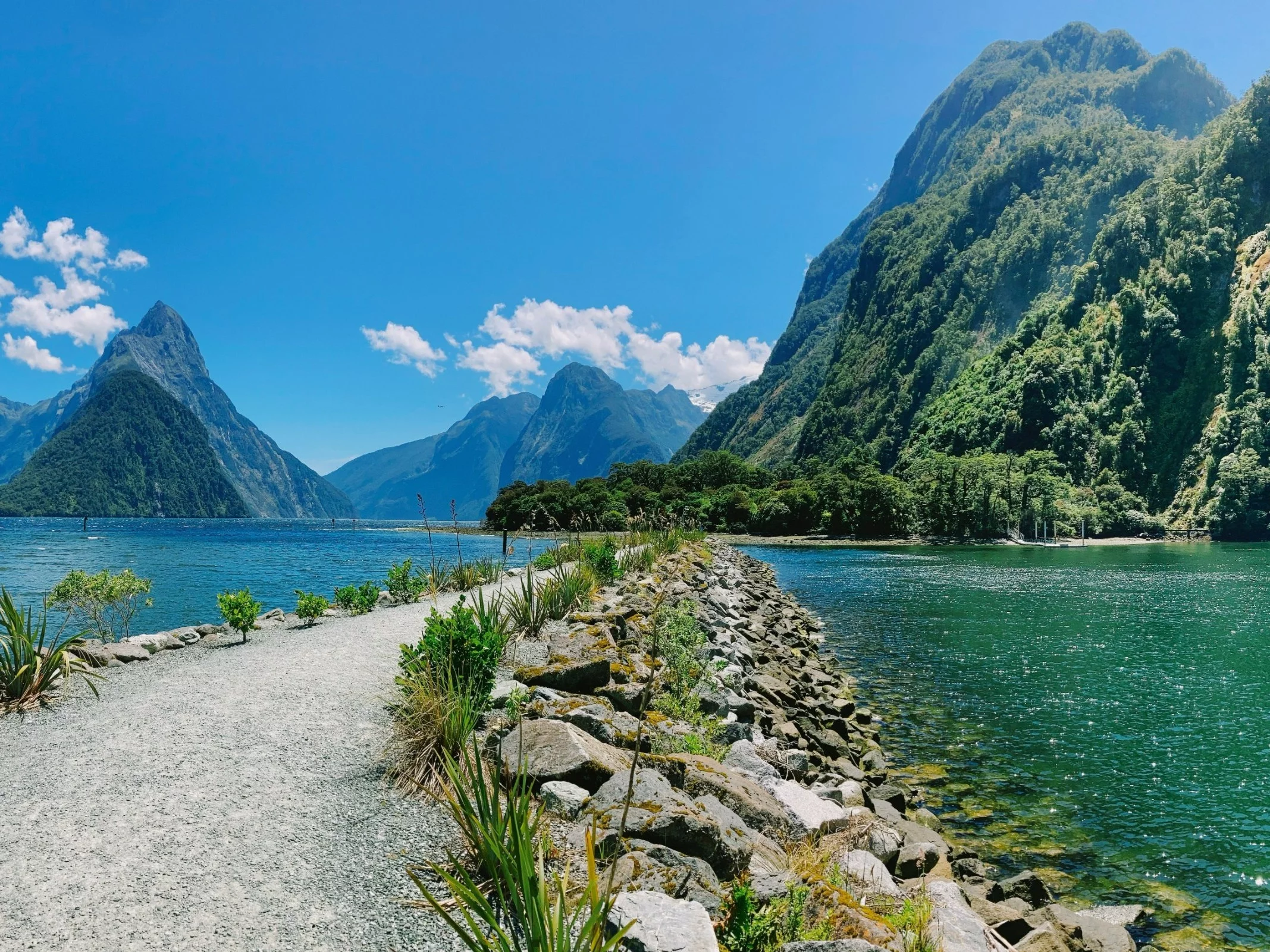 Milford Sound w Nowej Zelandii