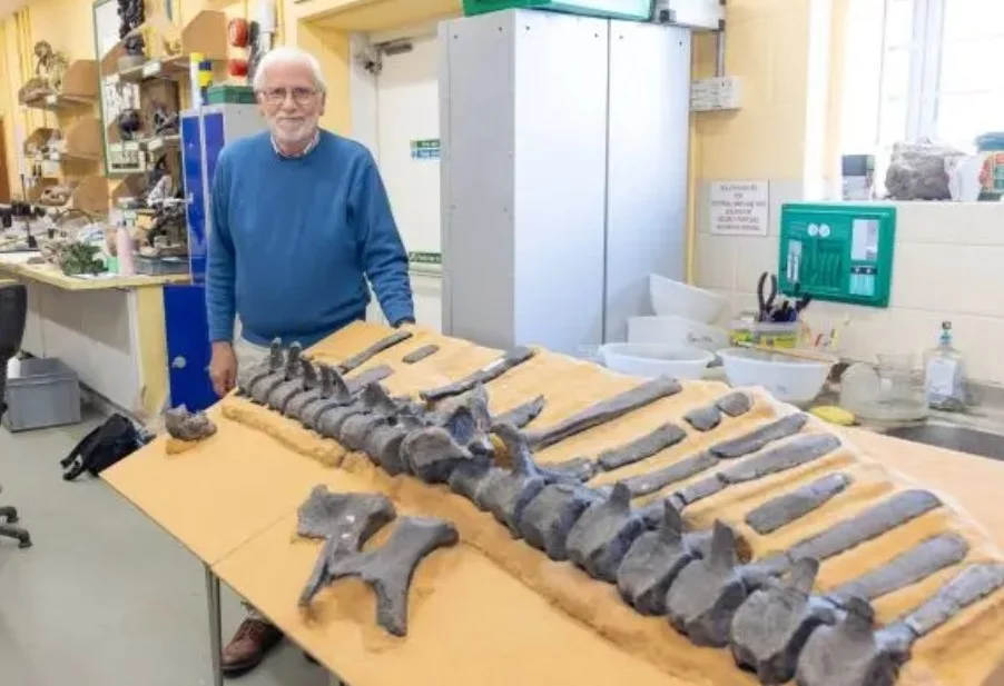 Nowy gatunek dinozaura. Odkrycie emeryta z Wysp Brytyjskich