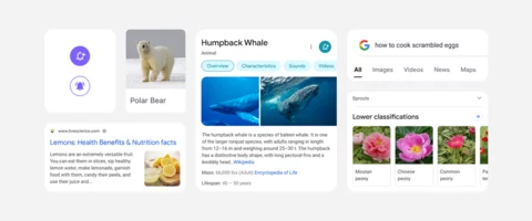 Nowy design wyszukiwarki mobilnej Google'a
