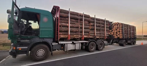 Przeładowana ciężarówka z drewnem