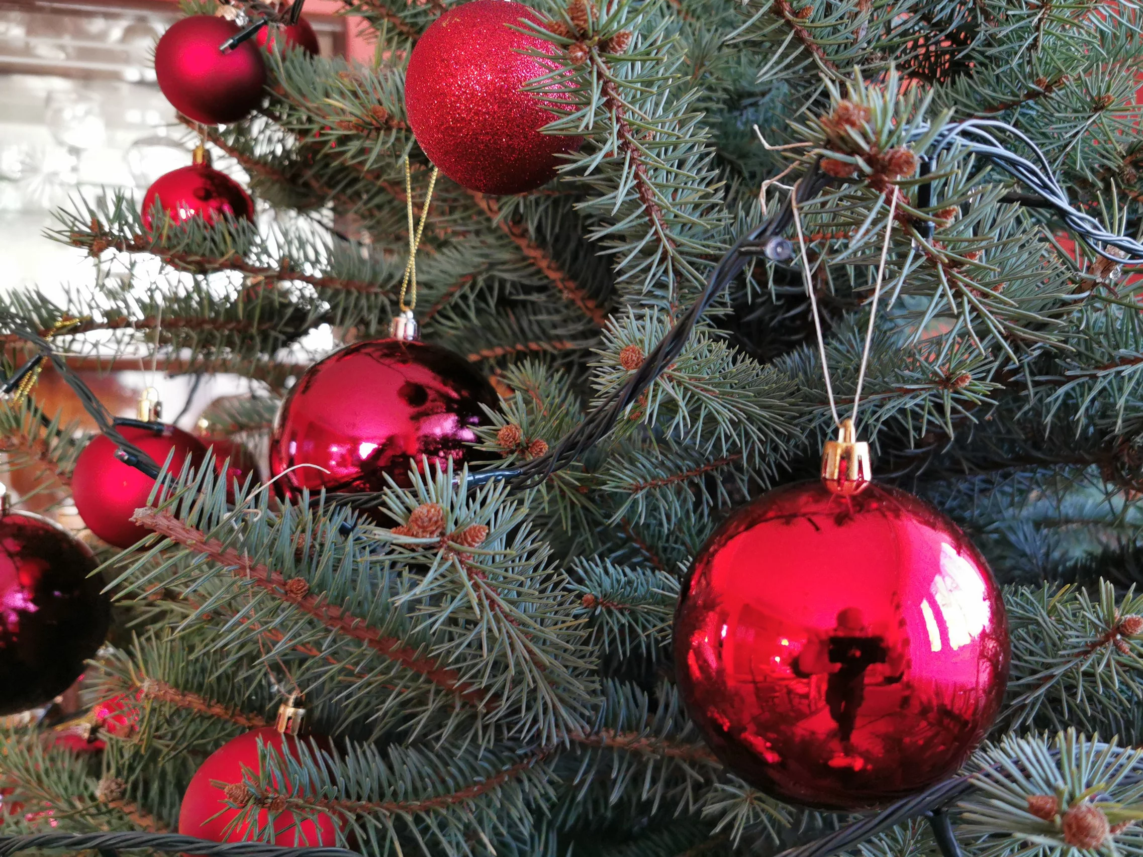 O czym marzą kobiety w te święta (i co z tego możesz podarować)?