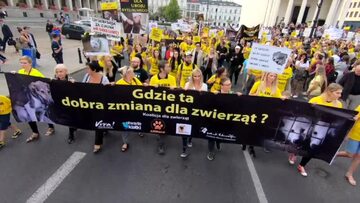 Obrońcy praw zwierząt wyszli na ulice Warszawy