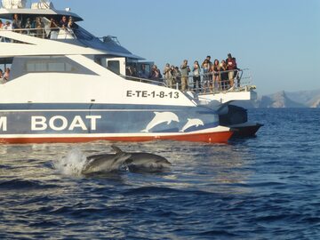 Obserwacja delfinów na Majorce