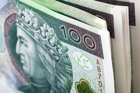 złoty, pieniądze fot. johan10/fotolia.pl