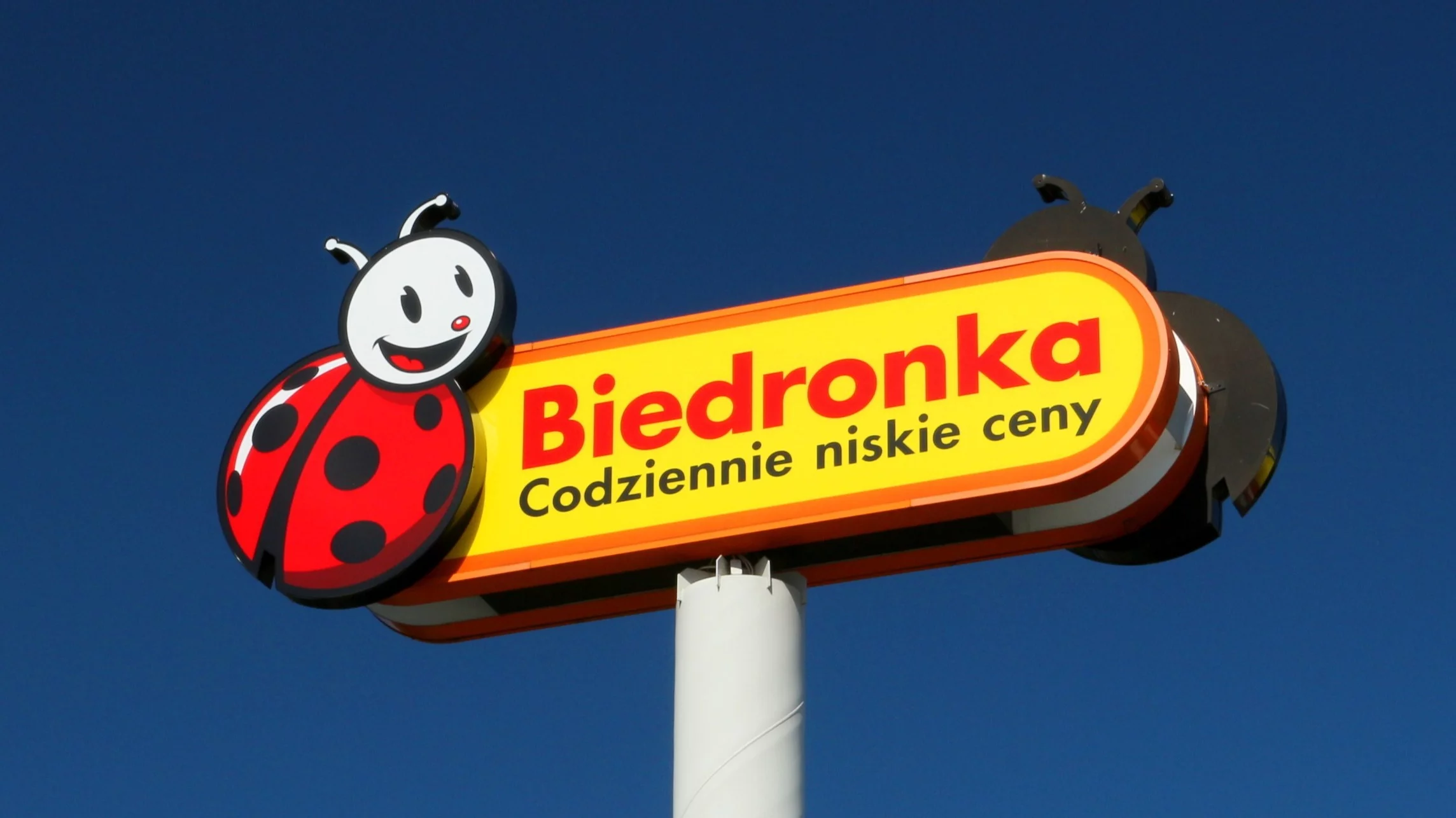 Biedronka