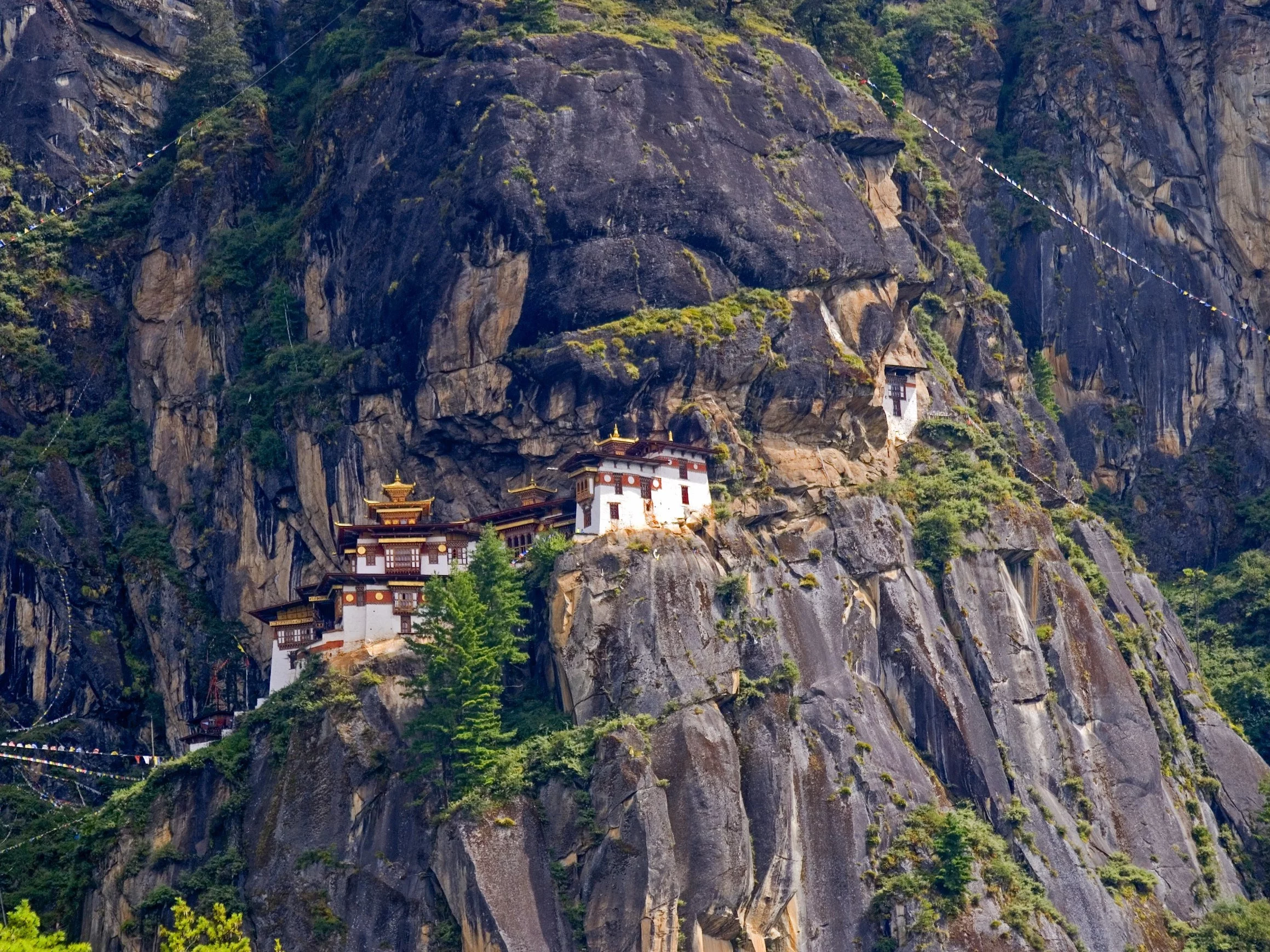 Od sleep turystyki po heliskiing