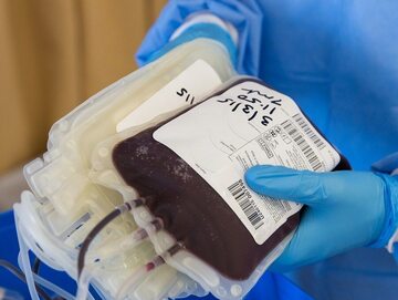 Oddawanie krwi