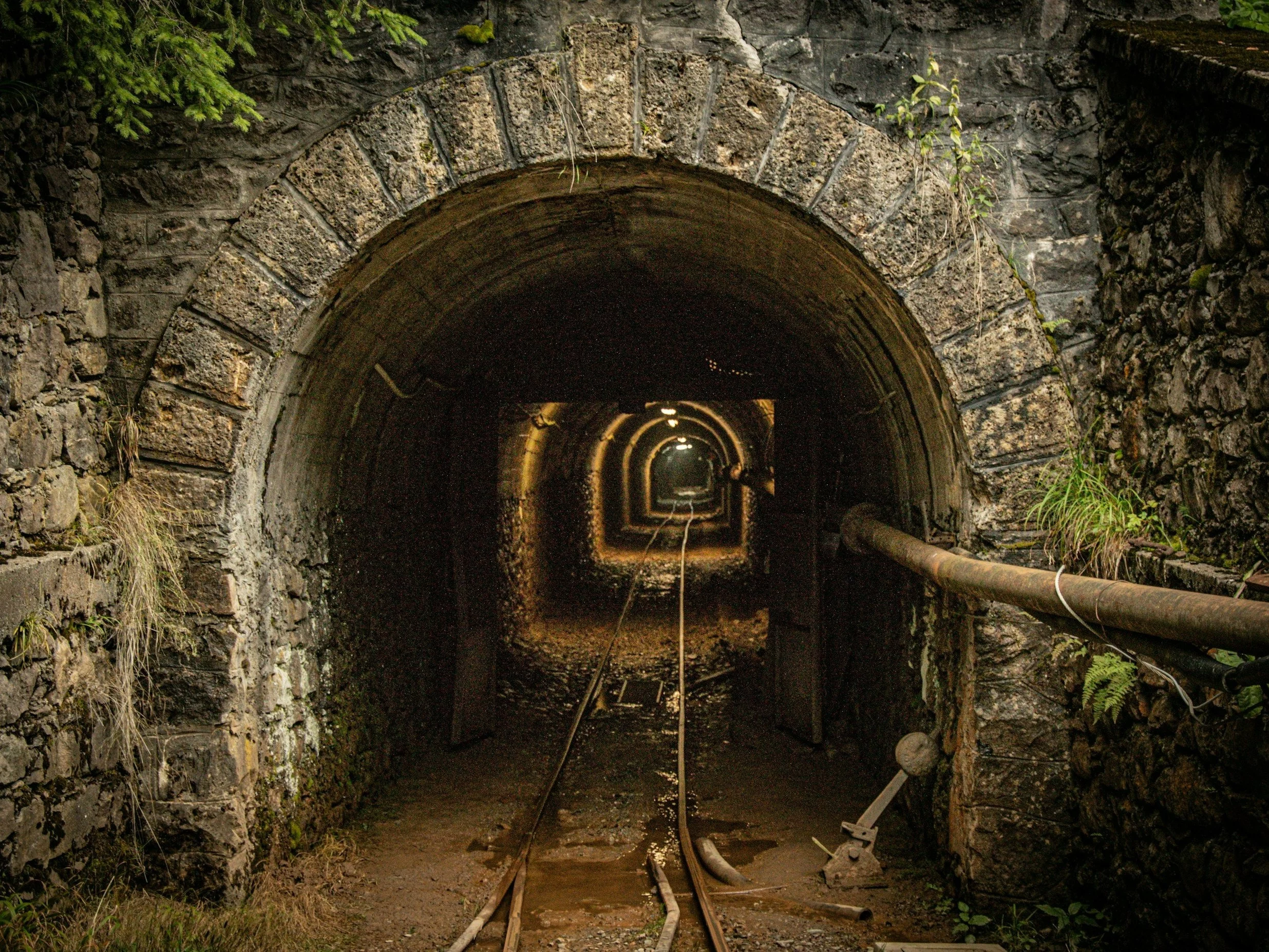 Odkryto nowy gatunek węża. Gad czaił się w kopalni