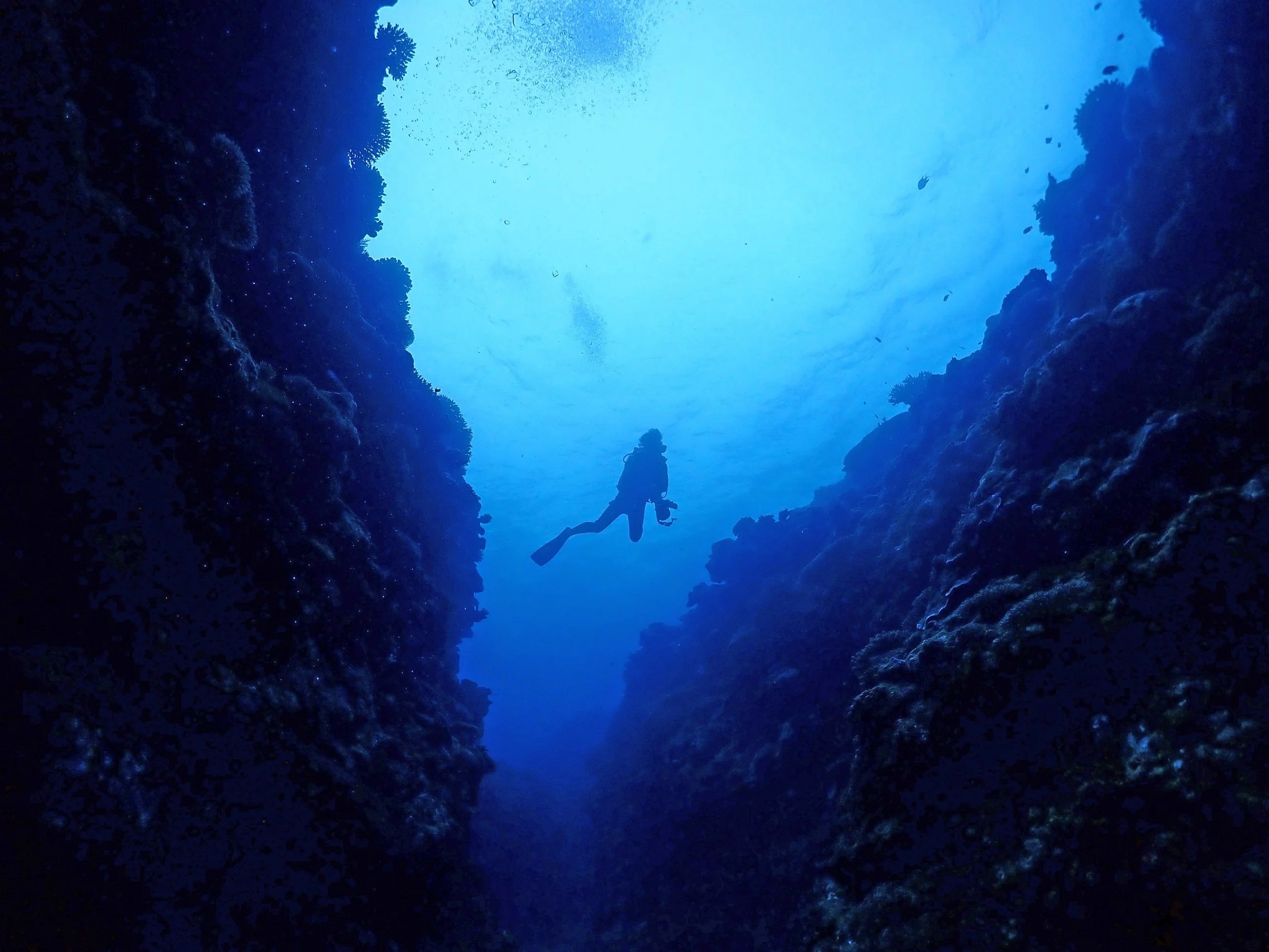 Nurek w głębinach oceanu