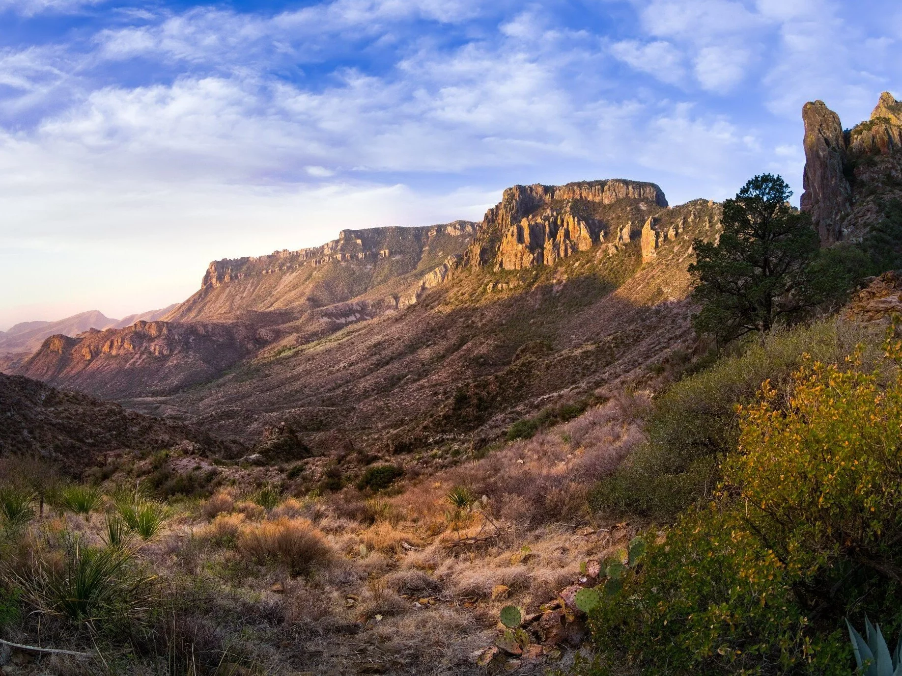 Park Narodowy Big Bend