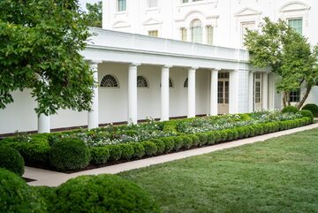 Ogród Różany w Białym Domu