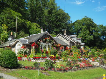 Ogród, zdjęcie ilustracyjne