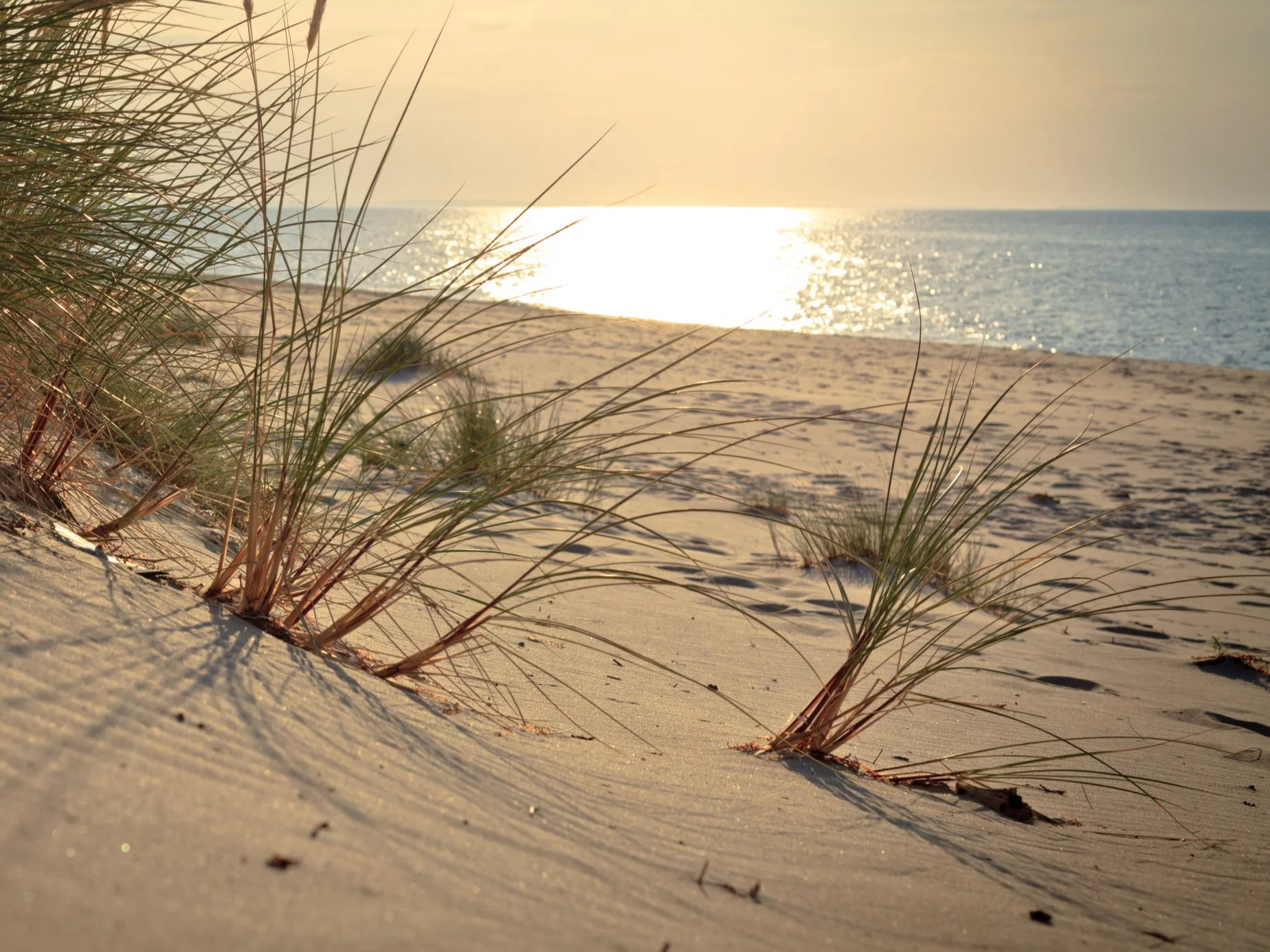Plaża przy Wisełce, zdjęcie ilustracyjne