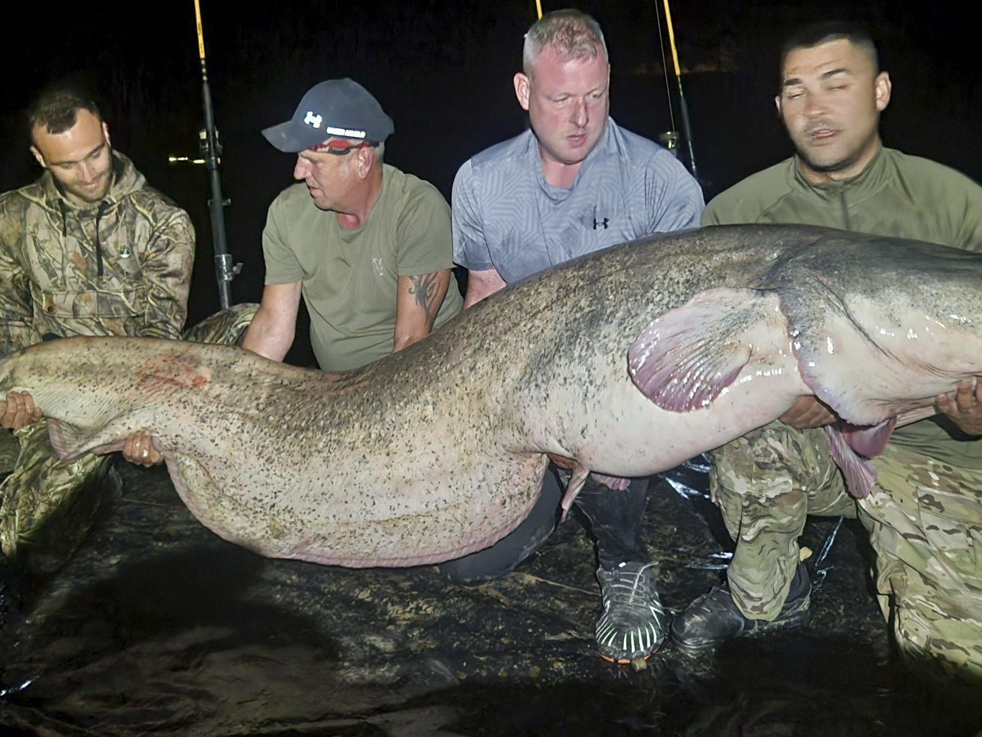 Tę rybę do zdjęcia trzymało czterech mężczyzn. Rekordowy połów 30-latka