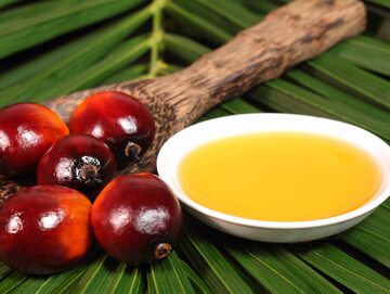 Olej palmowy, zdjęcie ilustracyjne