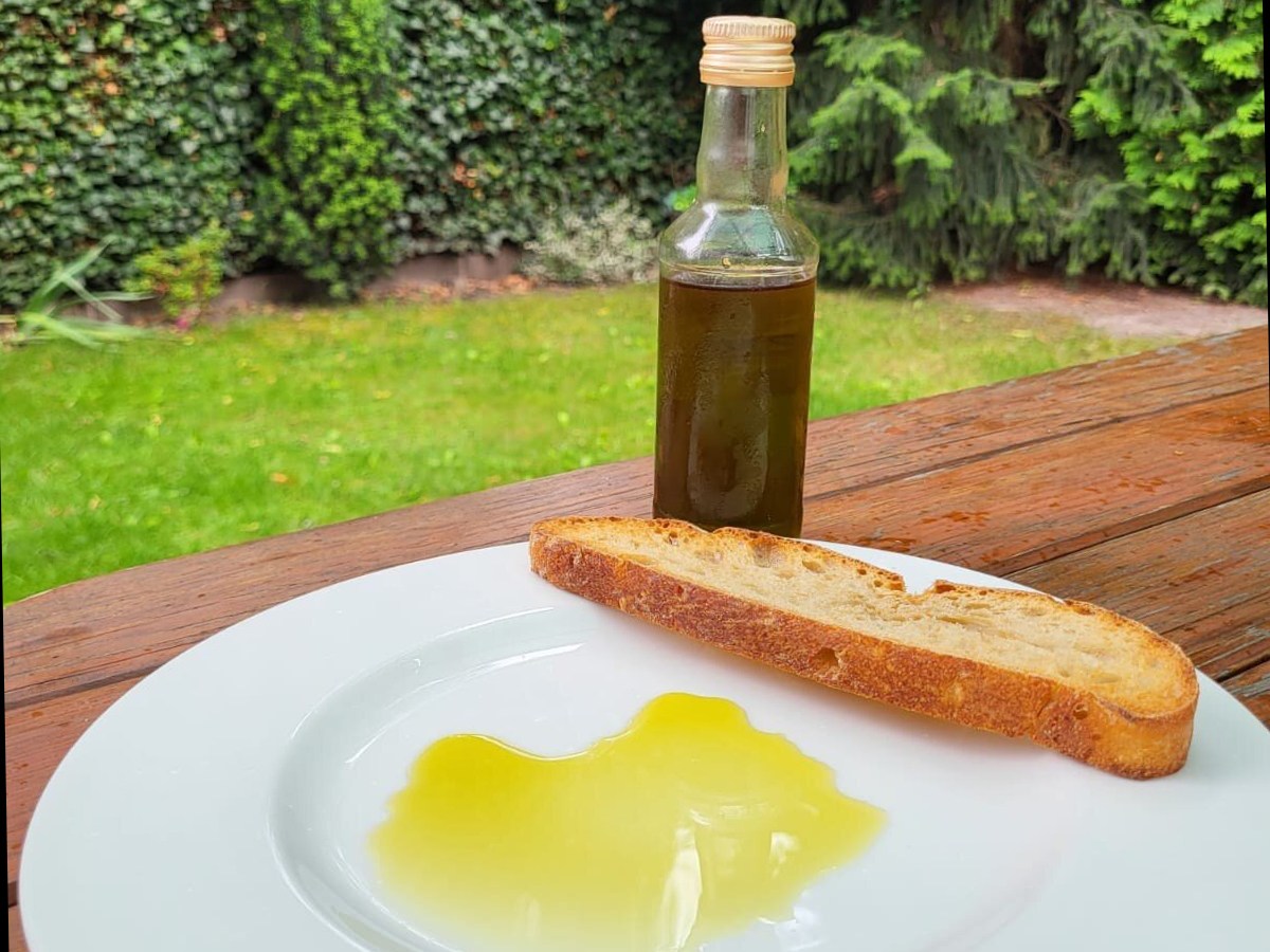 Olej z nasion konopi obniża cholesterol i ciśnienie krwi. Warto go jeść codziennie