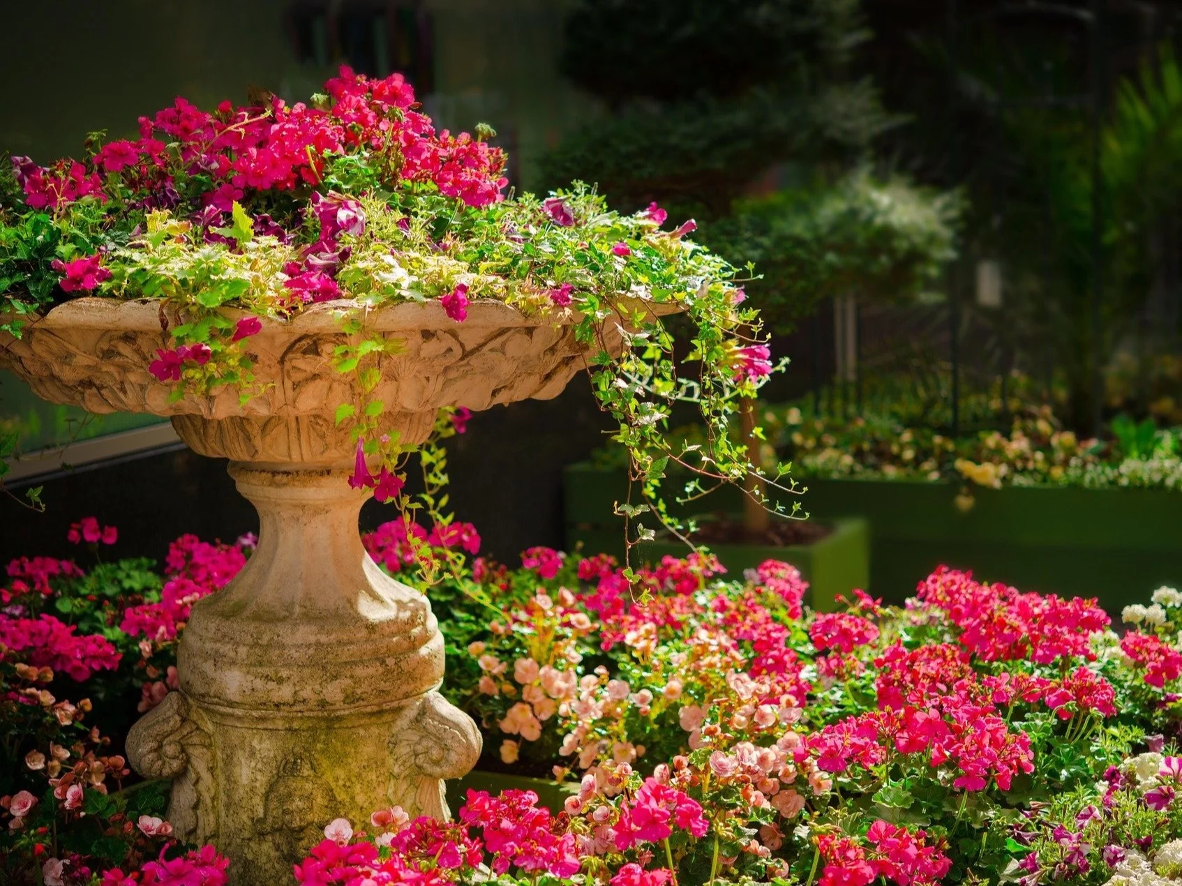 Pachnący ogród to hit tego sezonu