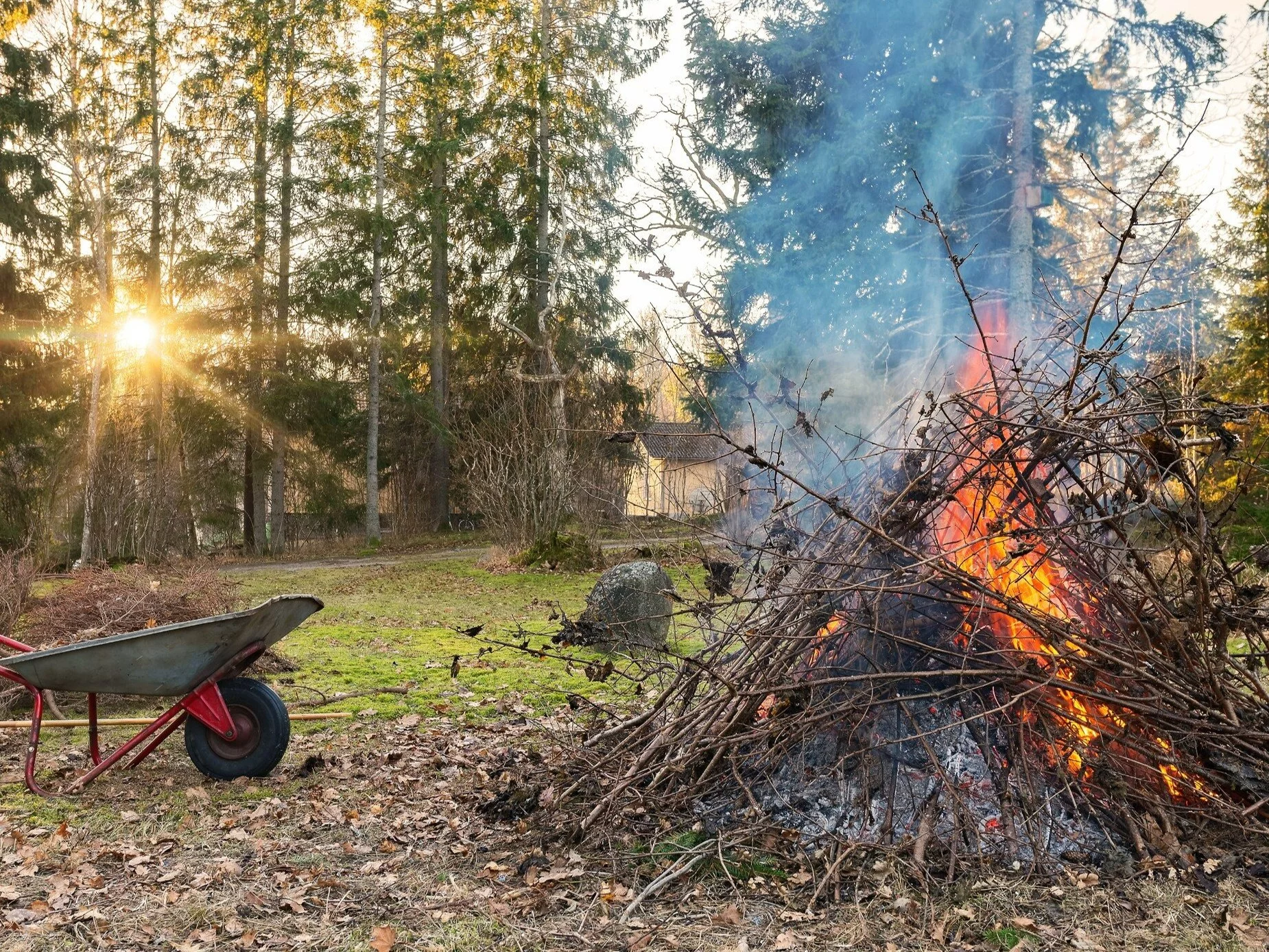 Palenie liści w ogrodzie