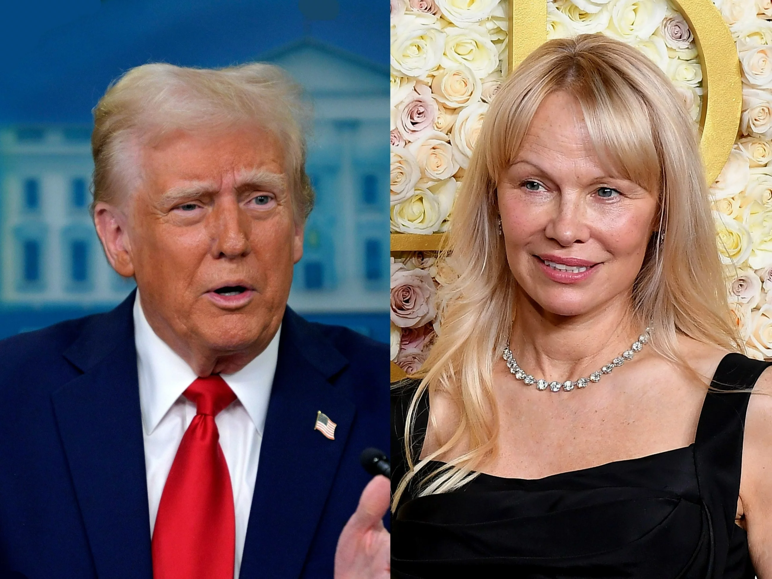 Donald Trump i Pamela Anderson