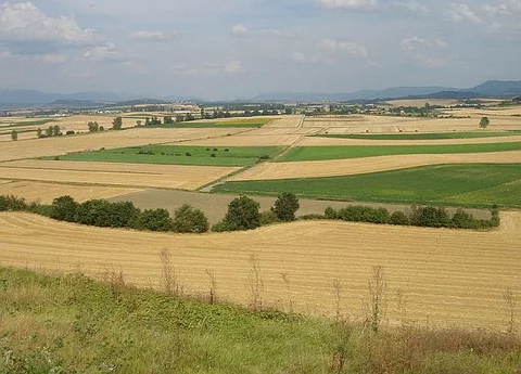 fot. Wikipedia